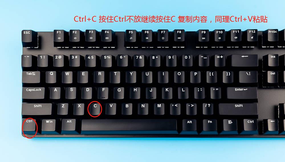 计算机一级 Word 格式刷、复制粘贴快捷键使用！