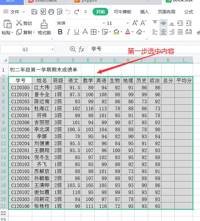 一级WPS Office考点套用表格格式