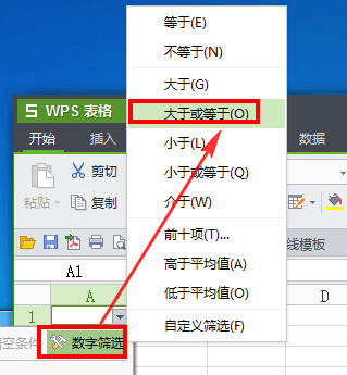 一级WPS Office 中Excel表格数据筛选知识点