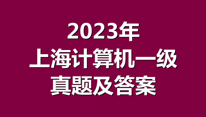 2023年上海计算机一级真题及答案