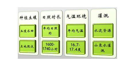 全国计算机一级MS Office第59套演示文稿